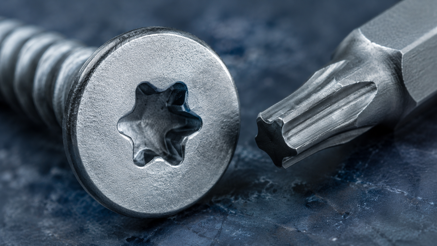 What Does a Torx Screw Look Like?