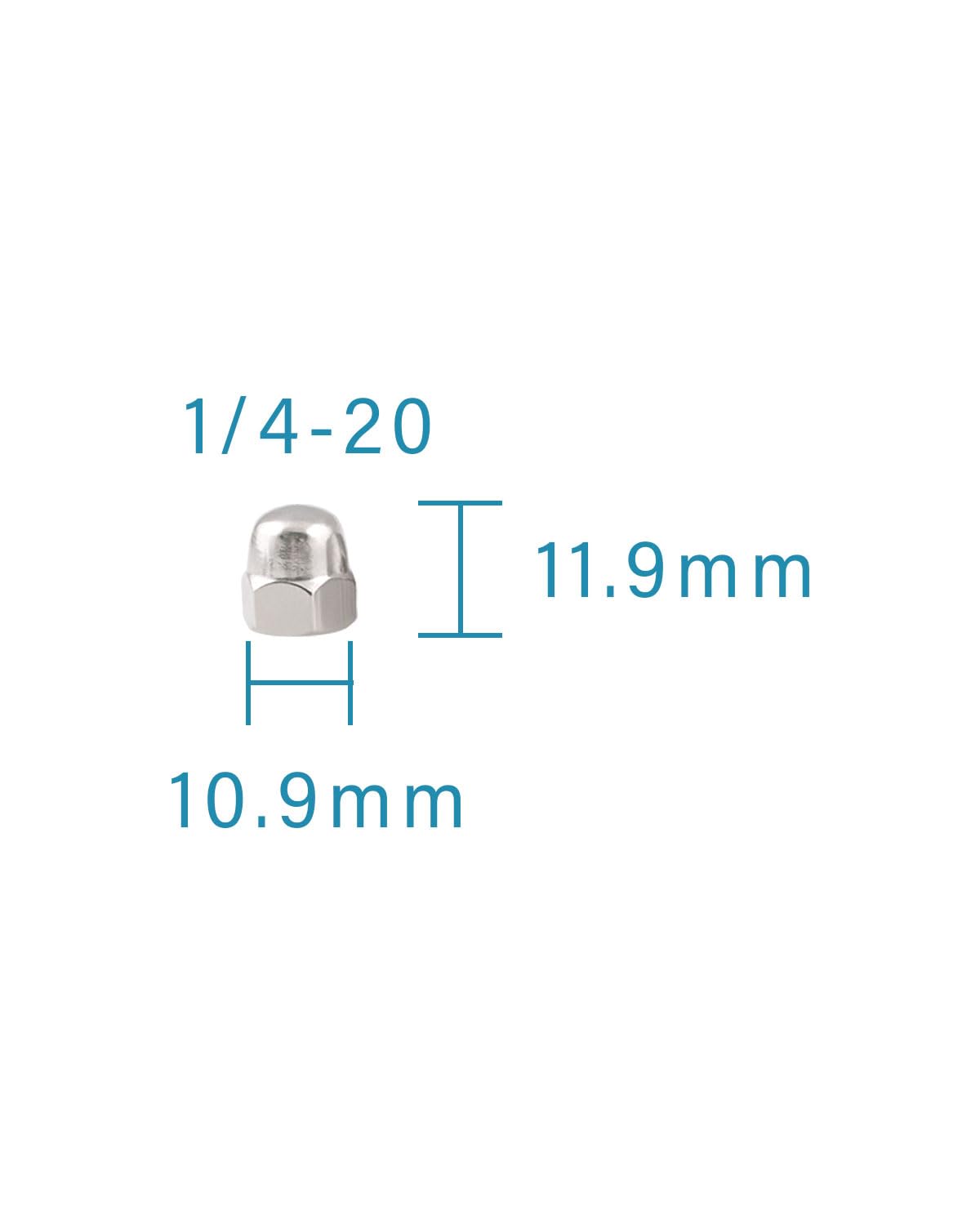 1/4-20 Acorn Nuts - IMScrews 304 Stainless Steel Acorn Nuts - Durable, Rust-Resistant Fasteners for Various Applications Pack of 25 - image 3